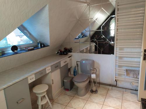 a bathroom with a toilet and a sink and a window at Alsace nature et découvertes in Gunsbach