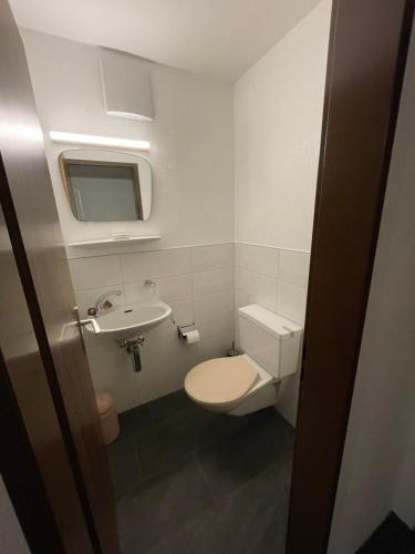 a small bathroom with a toilet and a sink at Modern Täsch Apartment with Free Parking in Täsch