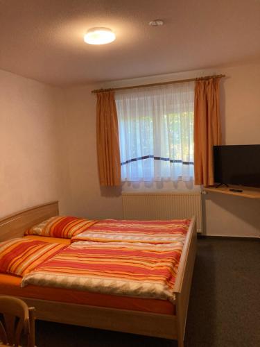 a bedroom with a bed with a television and a window at Pension Tom´s Hütte in Nossen