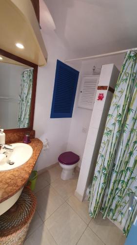 a bathroom with a sink and a toilet at Studio vue mer Le Colibri in Sainte-Anne