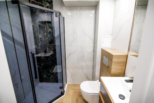 a bathroom with a shower and a toilet at Apartament w Centrum in Iława