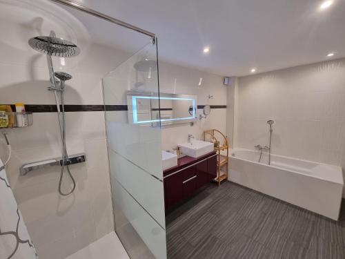 a bathroom with a shower and a sink and a tub at Villa Flora Superior Apartment in Cabris