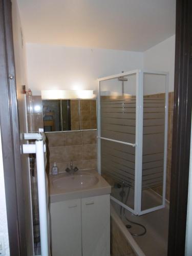 une salle de bain avec un lavabo et une douche dans l'établissement Studio 4/5 personnes 2 étoiles, à Saint-Lary-Soulan