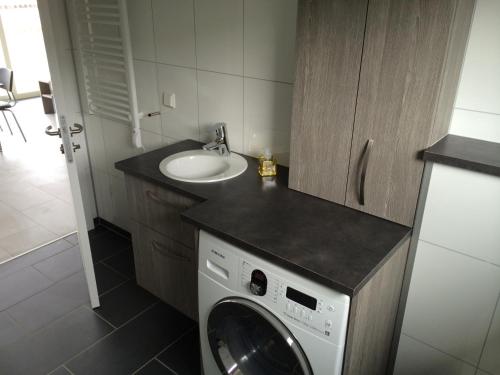 a bathroom with a washing machine and a sink at Framtid Apartments and Holiday Homes in Djúpivogur