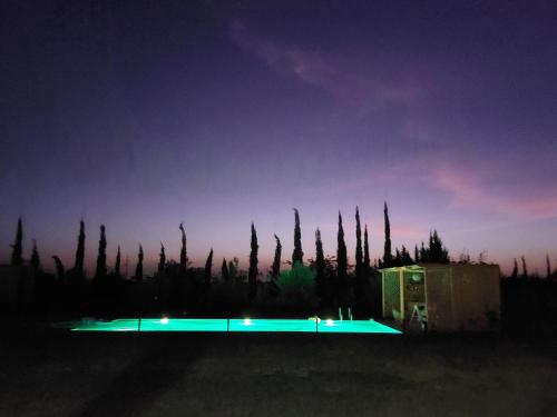 a group of palm trees in a field at night at VILLA GIULIA & SOLEY in Douar Sidi Ayad