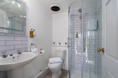 uma casa de banho com um WC, um lavatório e um chuveiro em The Little Cottage em Bryn-crug