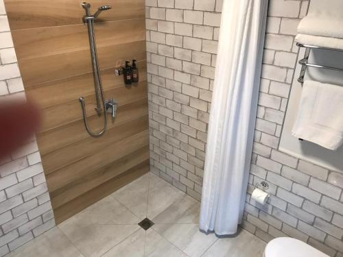 a bathroom with a shower stall with a toilet at Pinot Villas in Martinborough 