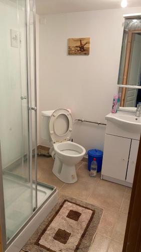 y baño con aseo y ducha acristalada. en Studio 20 m2, en Chamouilley