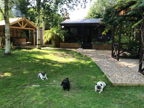 ภาพในคลังภาพของ Luxury Log Cabin with Outdoor Wood Fired Hot Tub & Pizza Oven ในRibchester