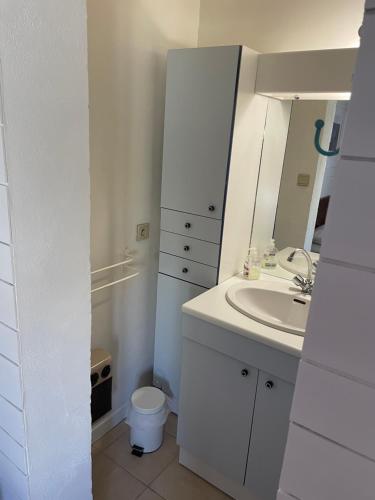 a white bathroom with a sink and a toilet at Maison Golvan centre ville avec parking et jardin in Quiberon