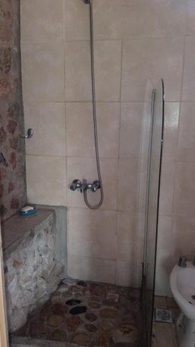 a bathroom with a shower with a sink and a toilet at Cabañas La Rústica in Bialet Massé