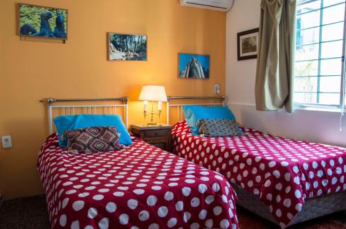 two beds sitting next to each other in a room at Cane B&B in Montevideo