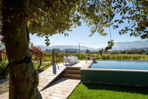 un cortile con piscina e un albero di Quinta De Vila Nova - Agroturismo a Monção