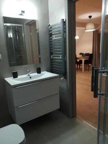 a bathroom with a sink and a mirror at Apartamenty Świstak Maciej Dunajczan in Bukowina Tatrzańska