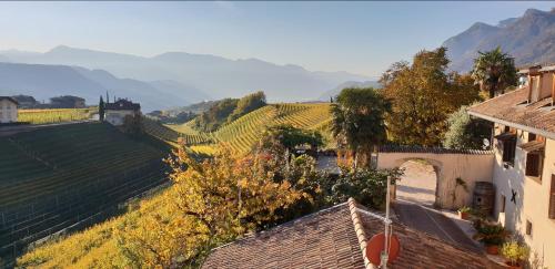 a view of a village with vineyards and mountains at Ansitz Strengherrnhof in Caldaro