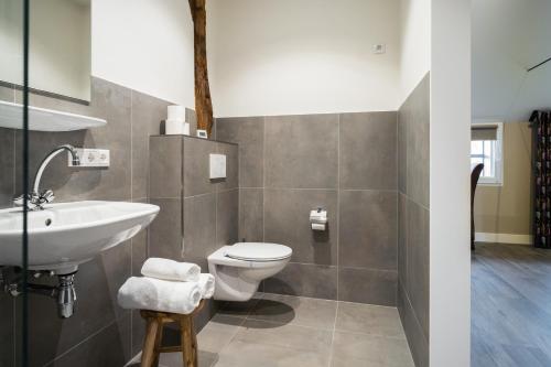 a bathroom with a white toilet and a sink at B&B Erve Groot Wegereef in Hengevelde