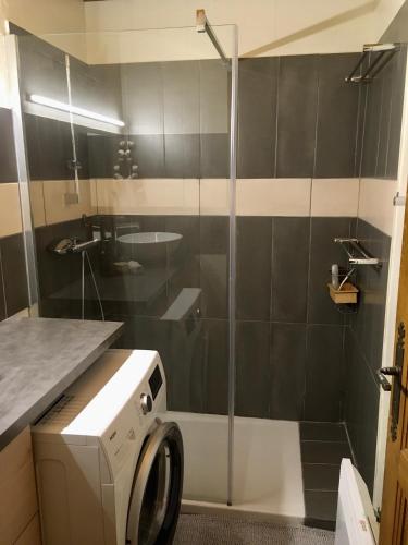 une salle de bain avec douche et machine à laver dans l'établissement Le Nantoran, à Praz-sur-Arly