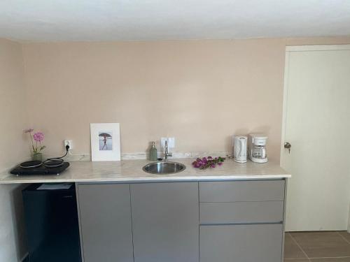 a kitchen with a sink and a counter top at Place2cu-Studio apartment in Willemstad