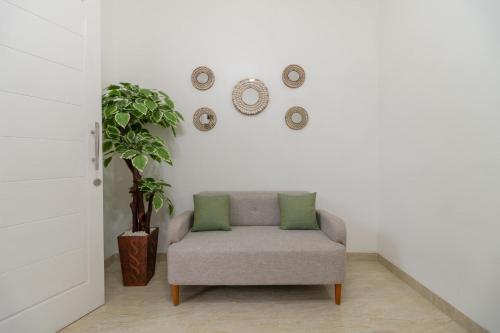 a chair in a room with a plant and plates on the wall at RedDoorz Syariah near Summarecon Mall Bekasi in Kayuringin