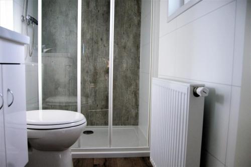 a white bathroom with a toilet and a shower at Chalet Landlust in Drijber
