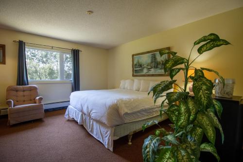 Un pat sau paturi într-o cameră la Englehart Motel