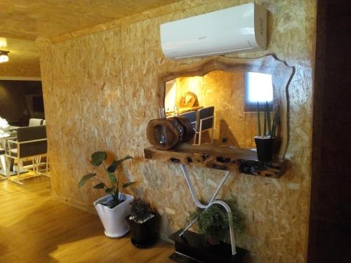 a room with a wall with a mirror and some plants at Casa do Outeiro in Arcos de Valdevez