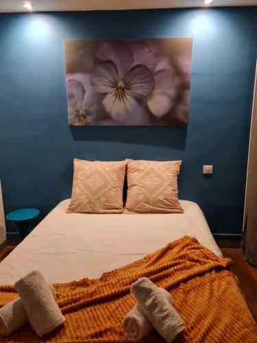 Le Citadin chic في درو: غرفة نوم عليها سرير وفوط