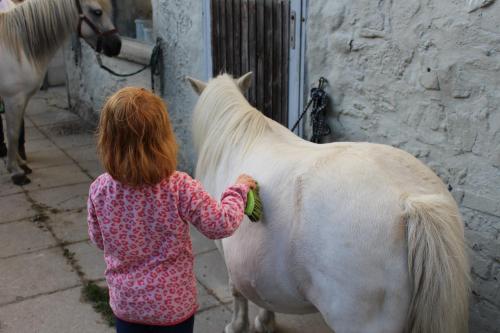 a little girl is petting a white horse at Ponyhof Adam Urlaub auf dem Bauernhof in Eschlkam