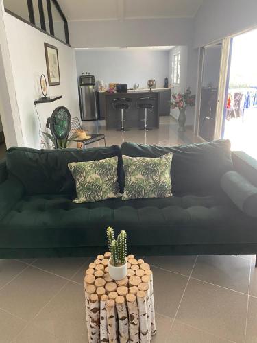 a green couch in a living room with a cactus on a table at Place2cu in Willemstad