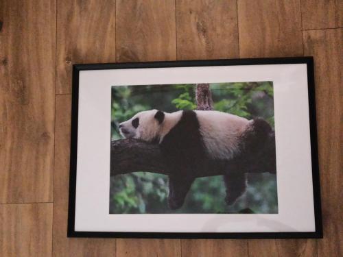 Gallery image of A 4 min du Zoo de Beauval La Maison à Partager Ch2 1er étage in Saint-Aignan