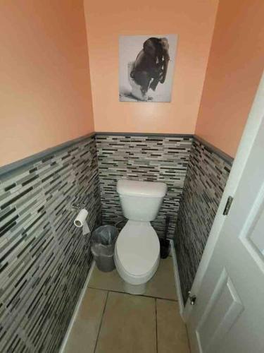 Elegant 2-bedroom pet-friendly villa w 2 parking spaces photo 33