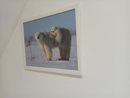 Imagen de la galería de A 4 min du Zoo de Beauval La Maison à Partager Ch4 2ème étage, en Saint-Aignan