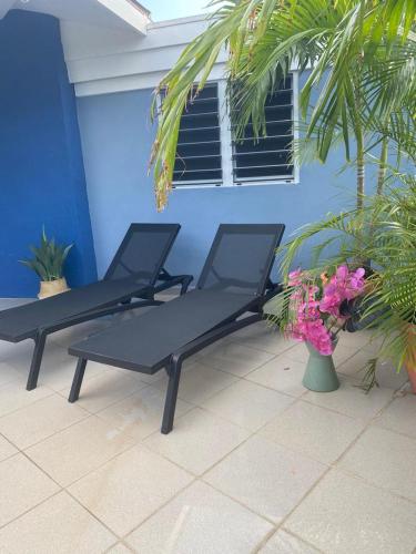 three black lounge chairs in a room with plants at Place2cu in Willemstad