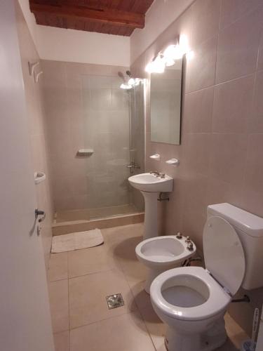 a bathroom with a toilet and a sink at DEPARTAMENTO EN COMPLEJO RESIDENCIAL in Godoy Cruz