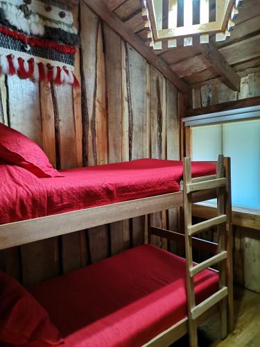 a room with two bunk beds and a ladder at Cabaña Rústica Pellin in Pucón
