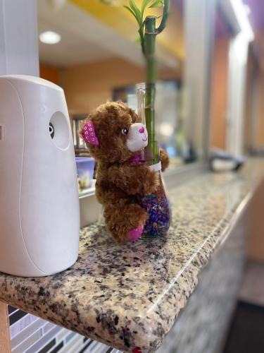 a teddy bear sitting on a counter next to a blender at Welcome Inn Corona in Corona