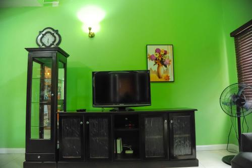 a television on a cabinet in a green room at GK Luxury Apartment in Kingston