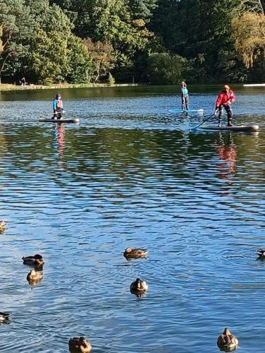 a group of people on paddle boards in the water at Brampton Holiday Homes - The Mews Apartment in Brampton
