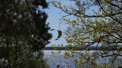 Φυσικό τοπίο κοντά σε αυτός ο ξενώνας