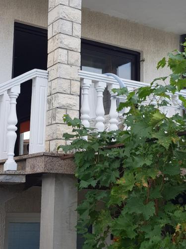 Imagine din galeria proprietății lili în Umag