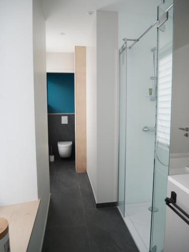 une salle de bain avec une douche en verre et des toilettes dans l'établissement chez Nous, à Vittel