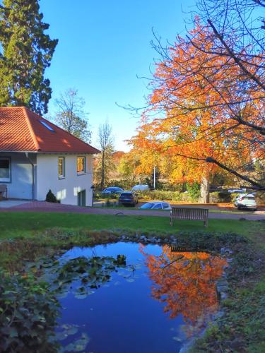 a house with a bench and a pond in a yard at Hotel Erbprinzenpalais in Wernigerode