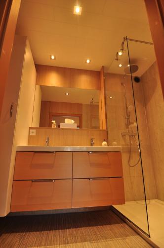 a bathroom with a shower and a sink at SLEEP INN Appartement in Amblève