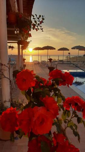 a group of red flowers in front of a beach at Hotel Albatros in Ischia