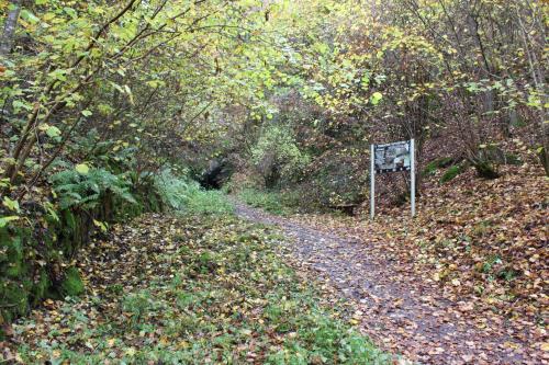 a dirt trail with a sign in the woods at fewogriebelschied in Griebelschied