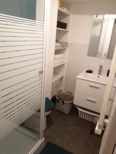 une salle de bain avec toilettes et lavabo dans l'établissement Petite habitation meublée, à Biganos