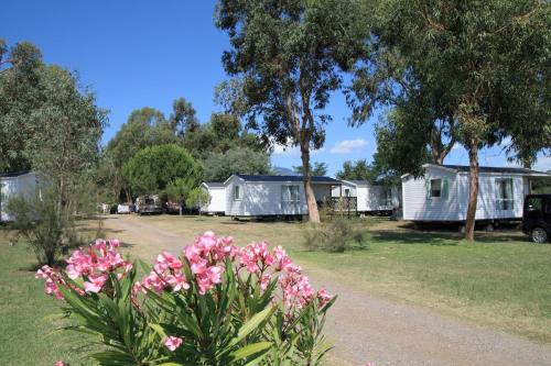 un groupe de mobil-homes dans une cour avec des fleurs roses dans l'établissement Camping Miami plage, à Poggio-Mezzana