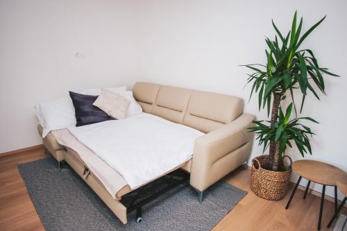 a couch in a living room with two plants at NA Apartments in Maribor