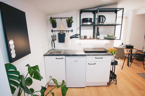a kitchen with white cabinets and a sink at NA Apartments in Maribor