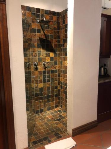 a shower in a bathroom with a tiled wall at Kruger Private Lodge in Marloth Park